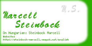 marcell steinbock business card